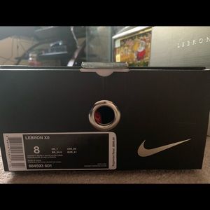 Lebron 12 "University Red"